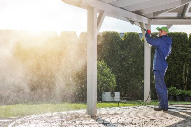 Animal Enclosure Cleaning in Siena College, NY